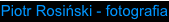 shapeimage_4_link_4